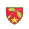 拜仁慕尼黑二队
